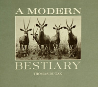 Modern Bestiary, A